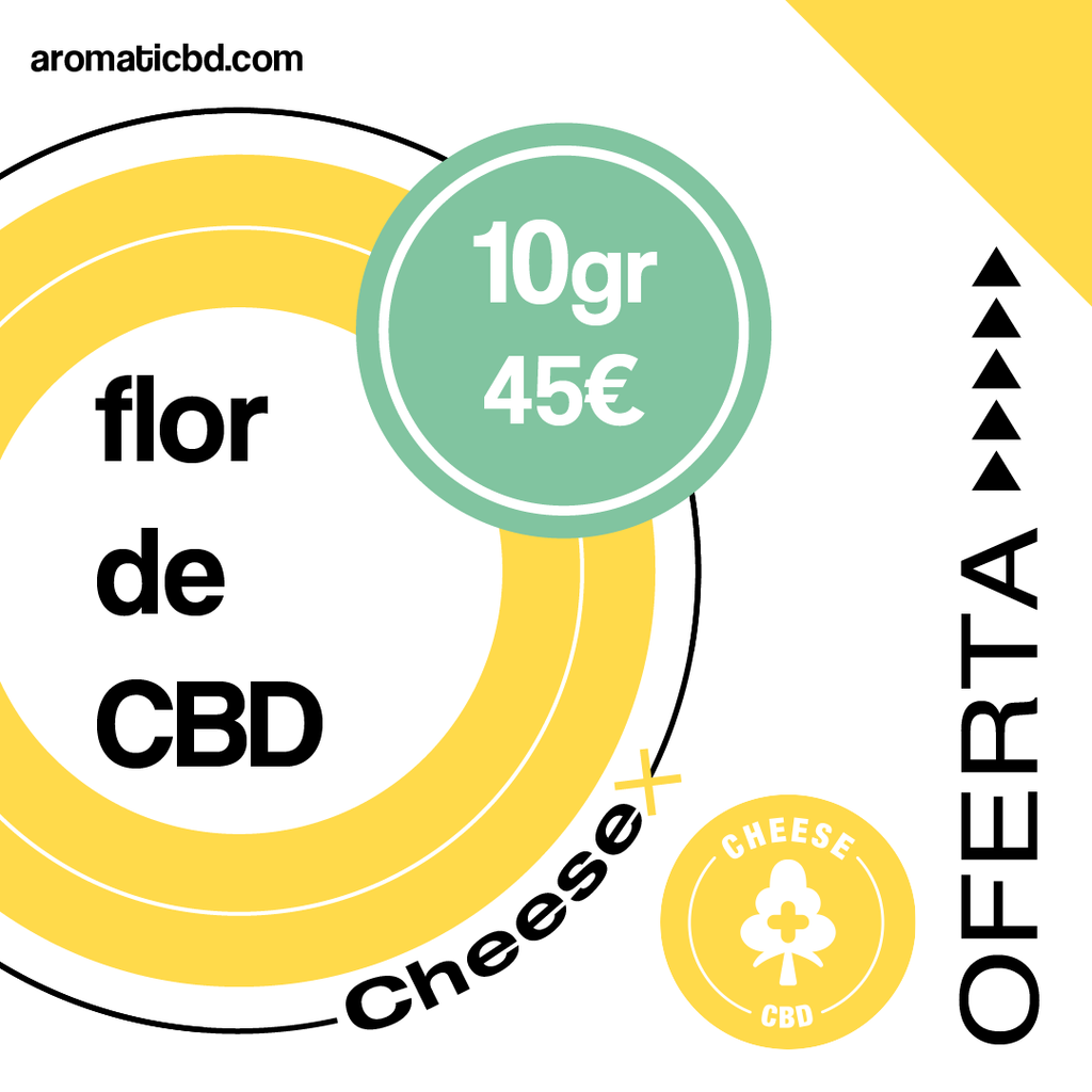 OFERTA FLOR CHEESE II